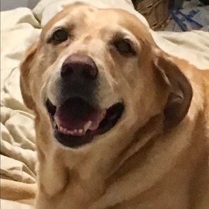 Meet your Posher, Kelsey